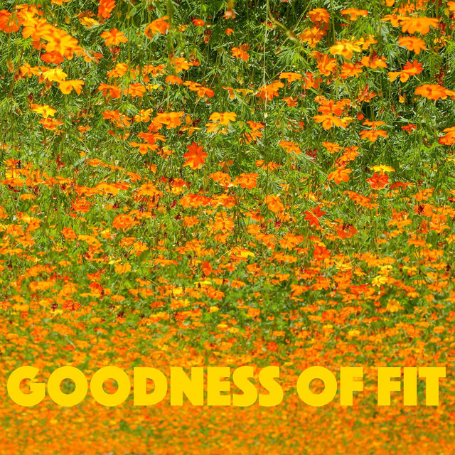 GOODNESS OF FIT cover art