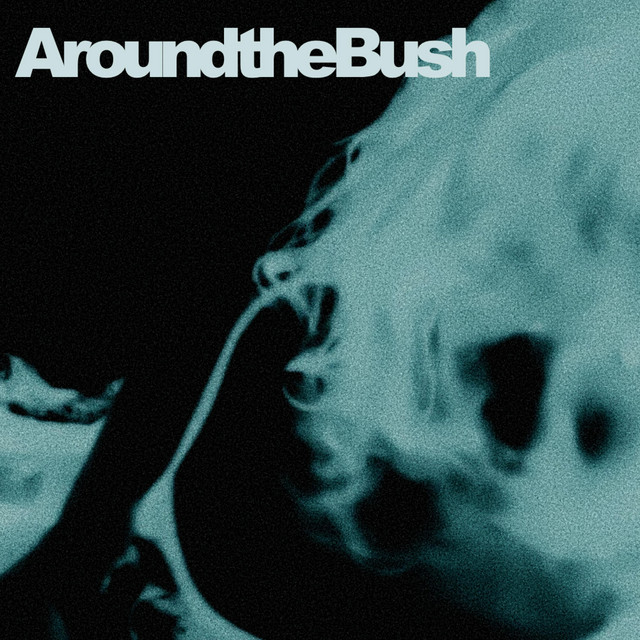 AroundtheBush
