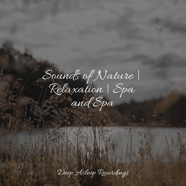 Sounds of Nature | Relaxation | Spa and Spa - Album by Spa | Spotify