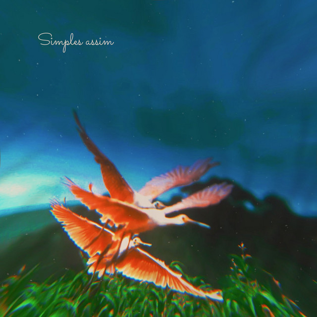 Simples Assim cover art