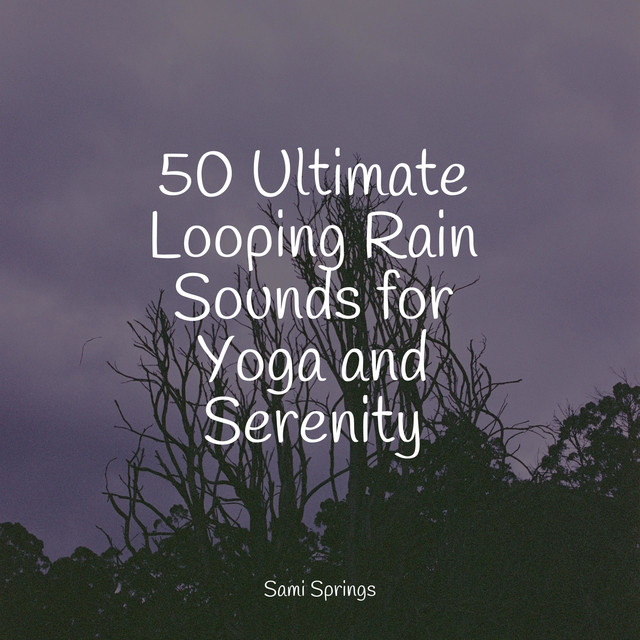 50 Ultimate Looping Rain Sounds for Yoga and Serenity - Album by Sleep ...