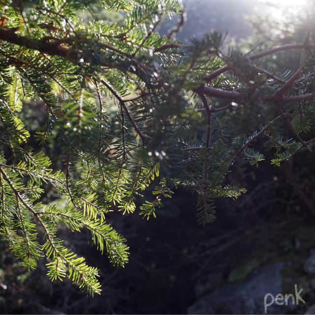 penk cover art