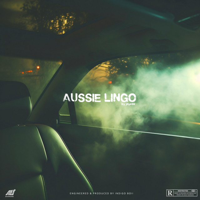 Aussie Lingo cover art