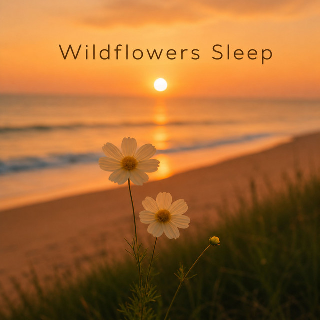 Wildflowers Sleep