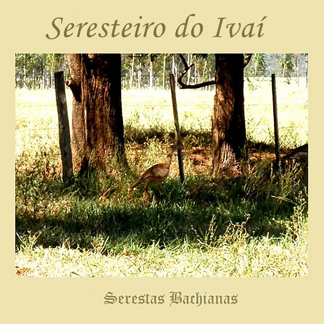 Seresteiro do Ivaí