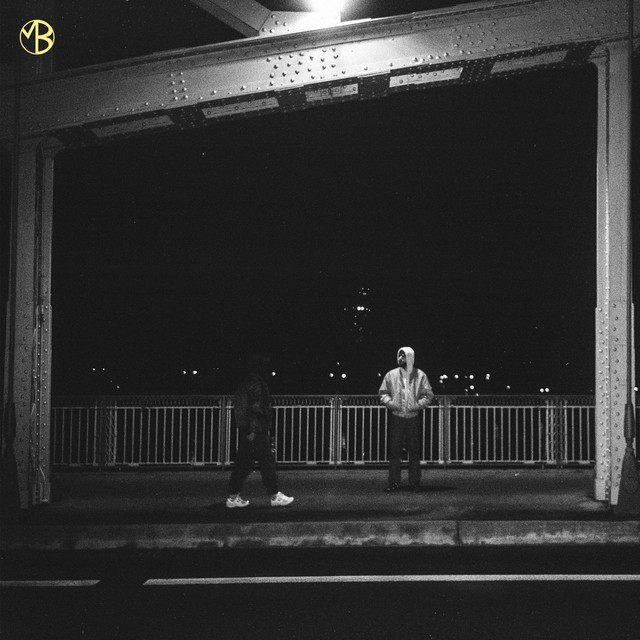 Probleme album image