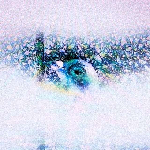 IWANTHER. cover art