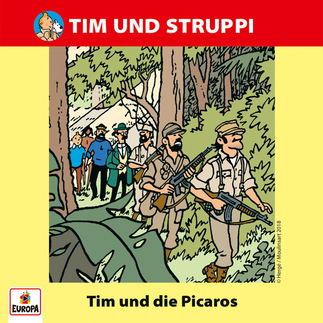 Cover: Tim und die Picaros
