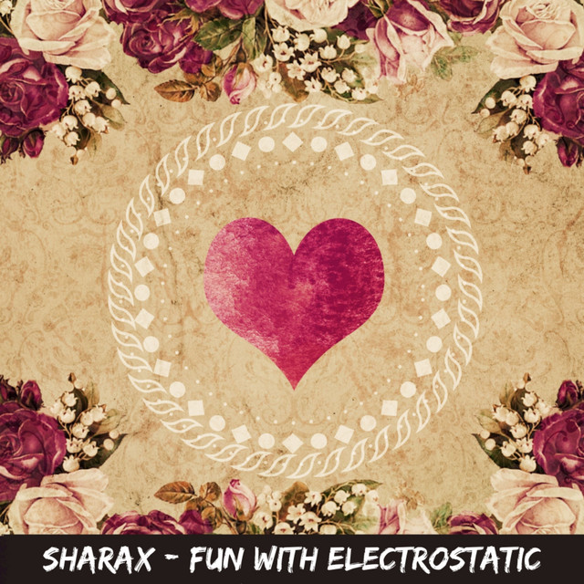 Fun With Electrostatic cover art