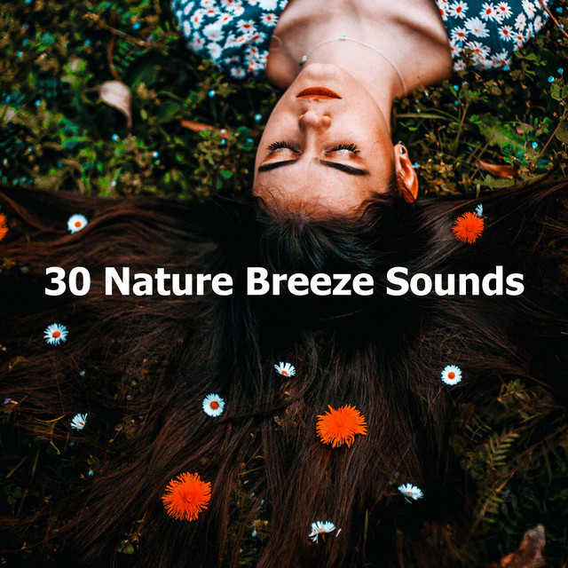30 Nature Breeze Sounds - Album by Deep Sleep Nature Sounds | Spotify