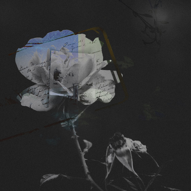 No More cover art