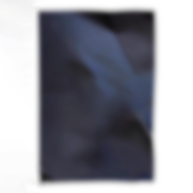Swans cover art