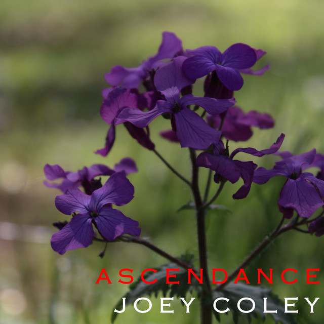 Ascendance cover art