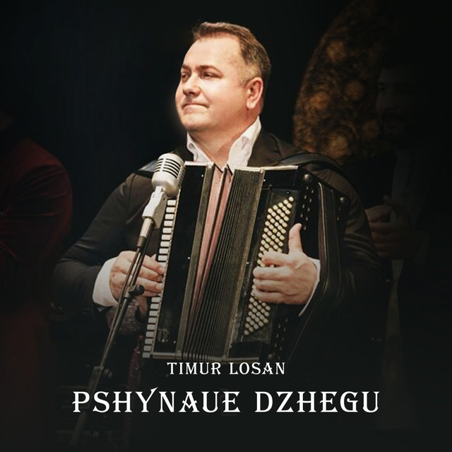 Pshynaue dzhegu cover art