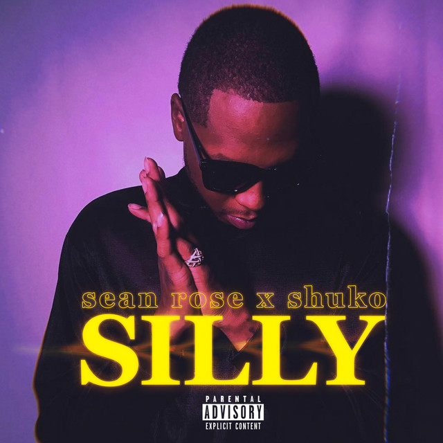 Silly - Single by Sean Rose | Spotify