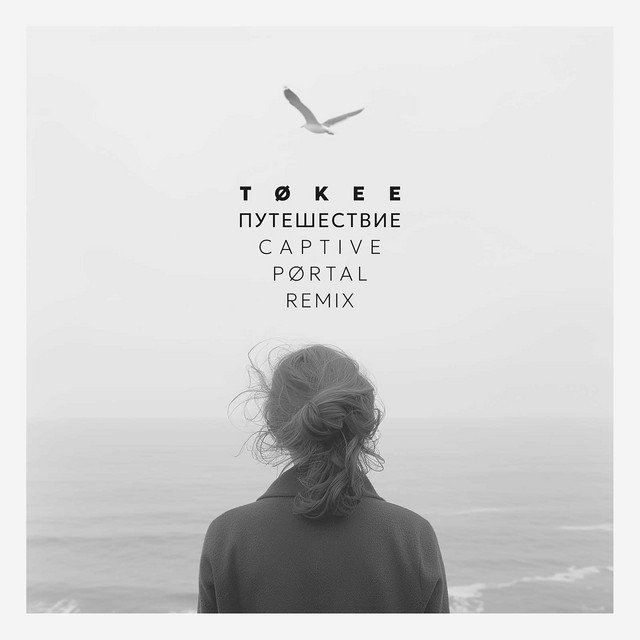 Путешествие (Captive Portal Remix) cover