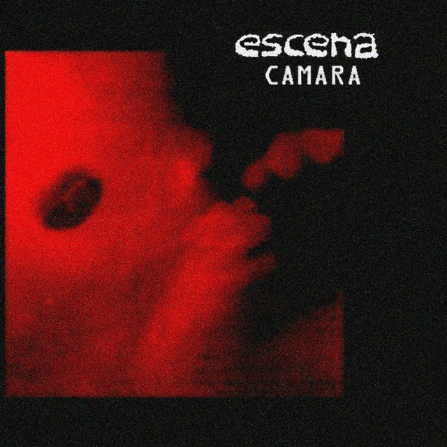 Cámara cover art