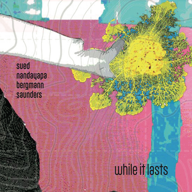 While It Lasts cover art