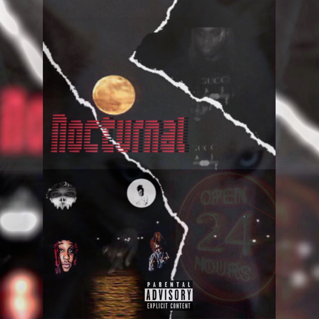 Nocturnal cover art