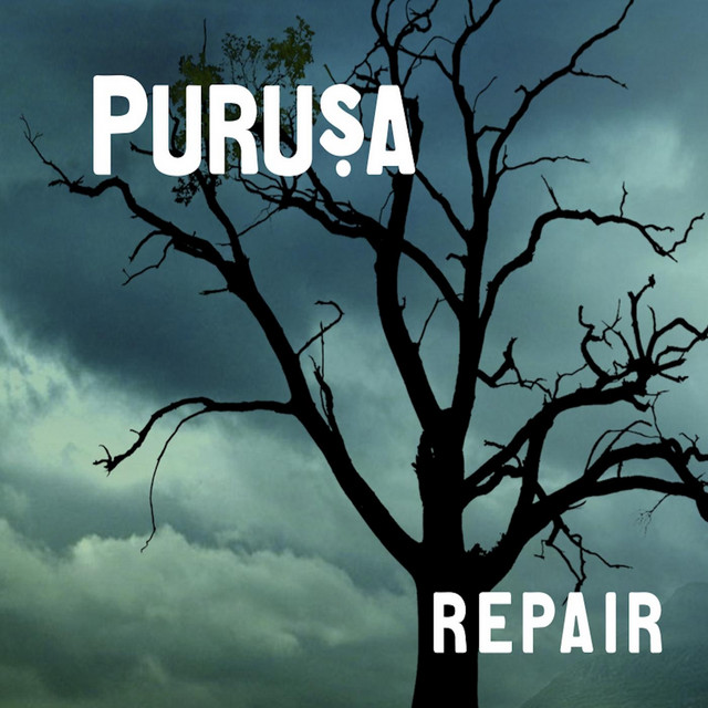 Repair cover
