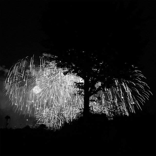 희애 cover art