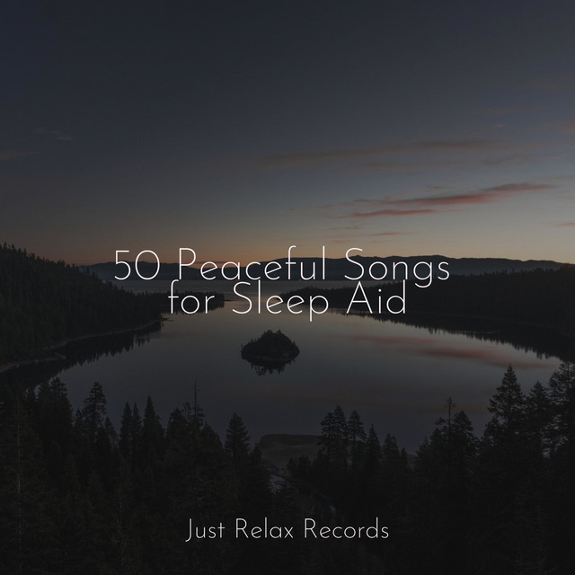 50 Peaceful Songs for Sleep Aid - Album by Meditation Awareness | Spotify