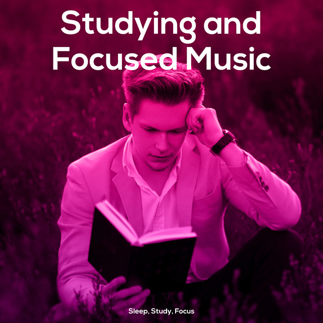 Studying and Focused Music - Album by Sleep, Study, Focus | Spotify