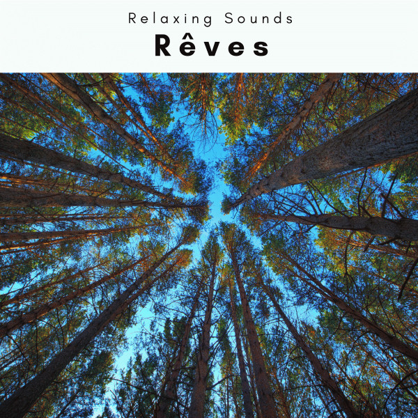 Rêves vol. 2 cover art