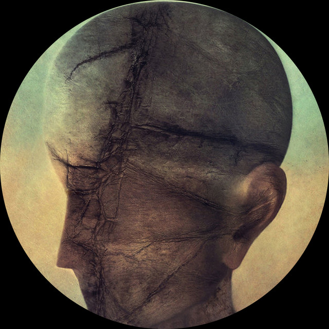 Execution cover art