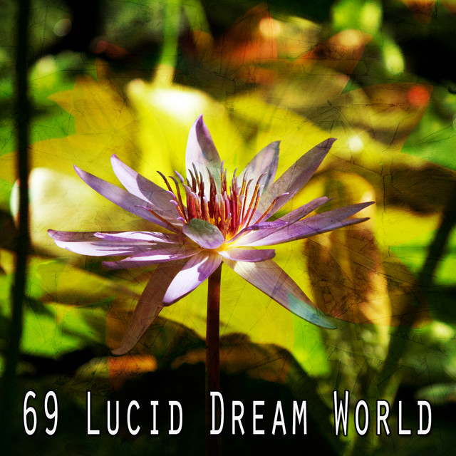 69 Lucid Dream World cover art