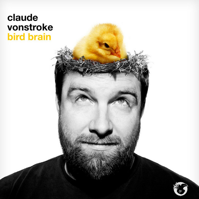 Bird Brain cover art
