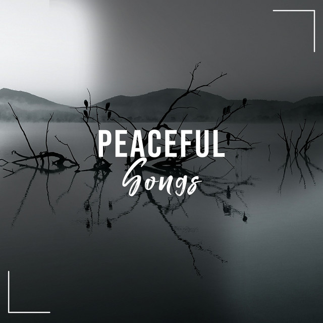 #1 Hour of Peaceful Songs for Deep Sleep & Relaxation cover art