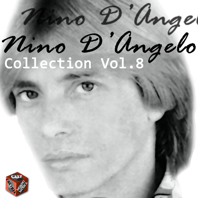 新品未開封 4巻セット Nino D'Angelo DVD
