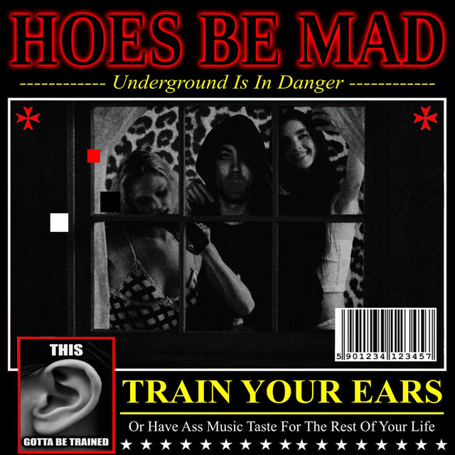 HOES BE MAD MIXTAPE cover art