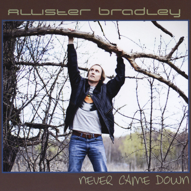 Never Came Down cover art