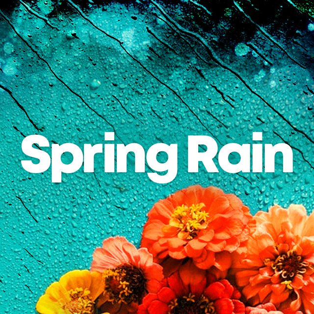 Spring Rain ! ! ! - Album by Rain Sounds | Spotify