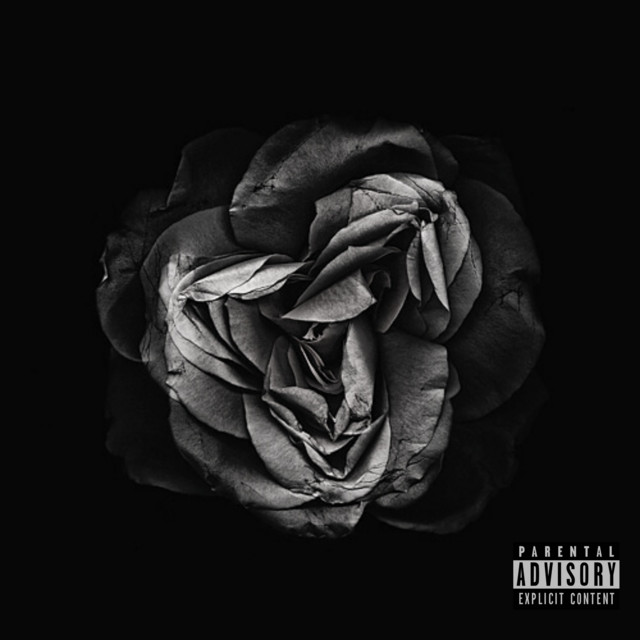 flower bloomed in a dark room cover art