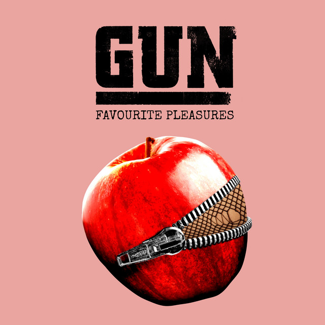 Pochette du titre Favourite Pleasures
