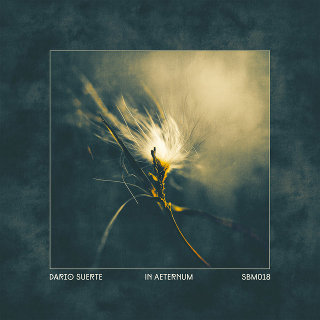 Solis Ortus cover art