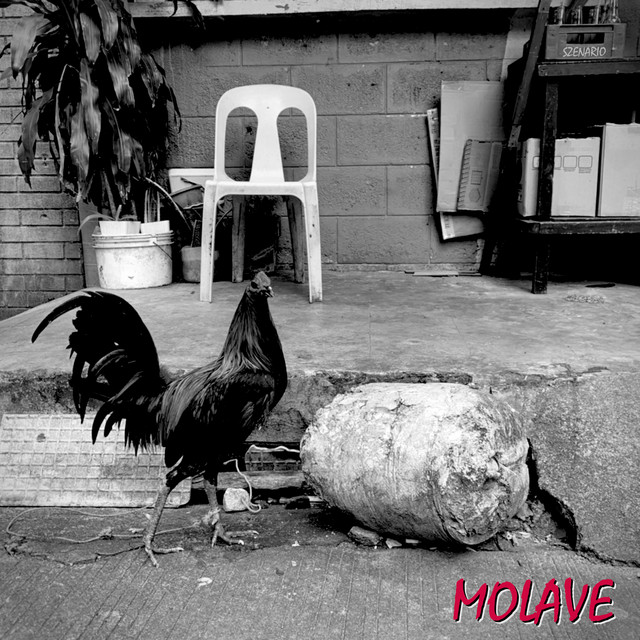 Molave cover