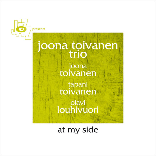 Joona Toivanen Trio Photo