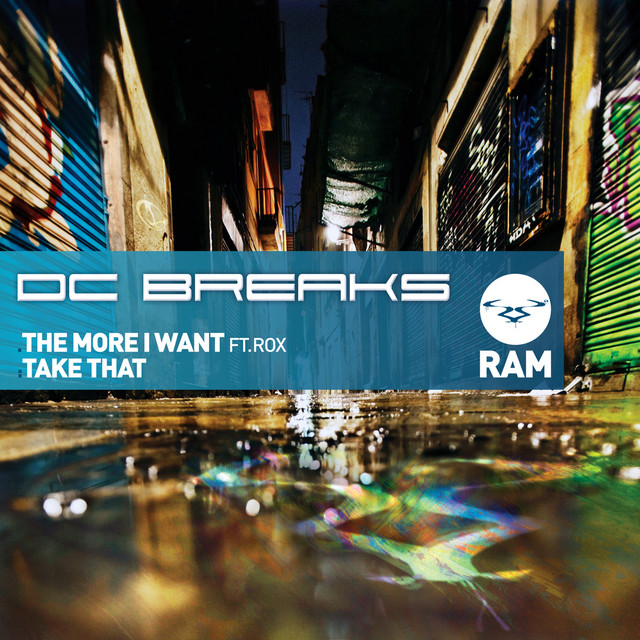 The More I Want (feat. ROX) - Radio Edit artwork