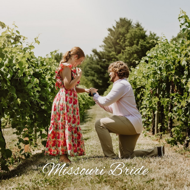 Missouri Bride - song and lyrics by Preston Holifield | Spotify