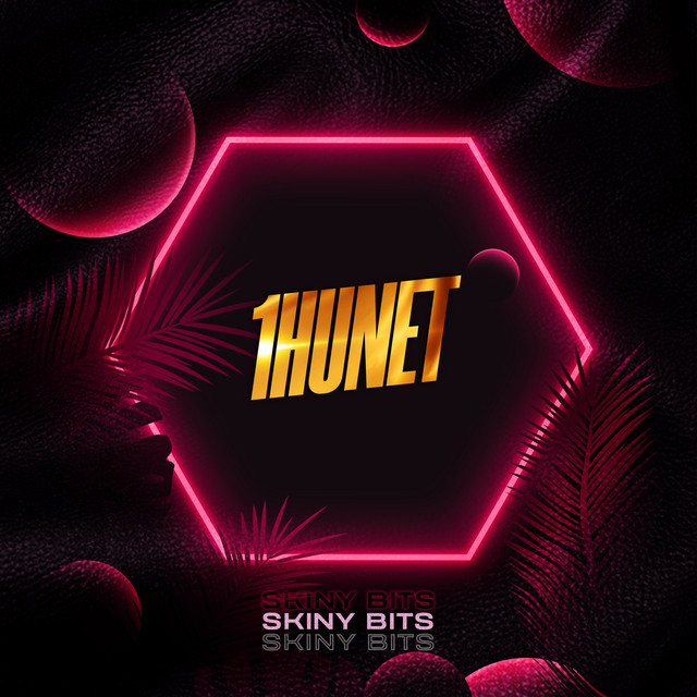 1hunet cover art