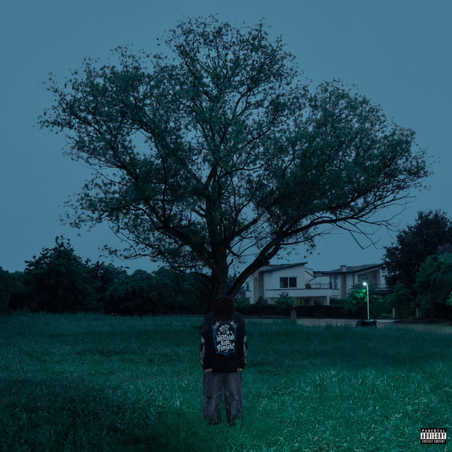 undefined album image