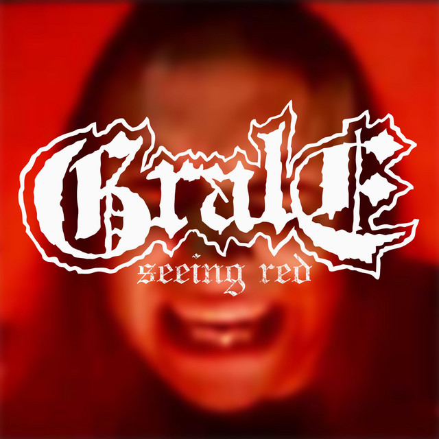 Seeing Red cover