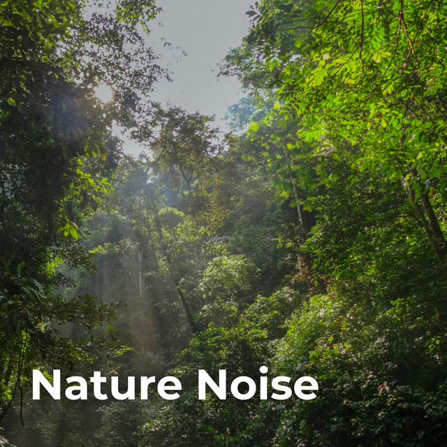 Nature Noise cover art