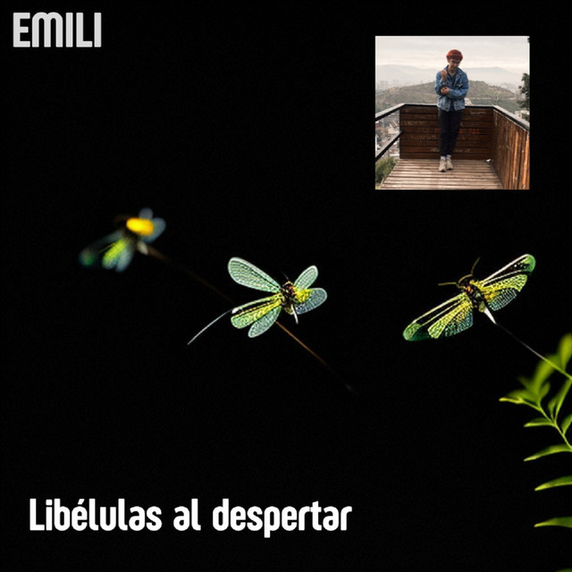 Libélulas al despertar cover art