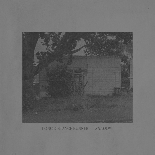 Shadow cover art