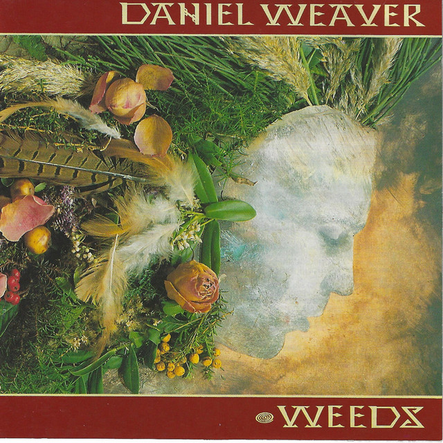 Daniel Weaver Photo